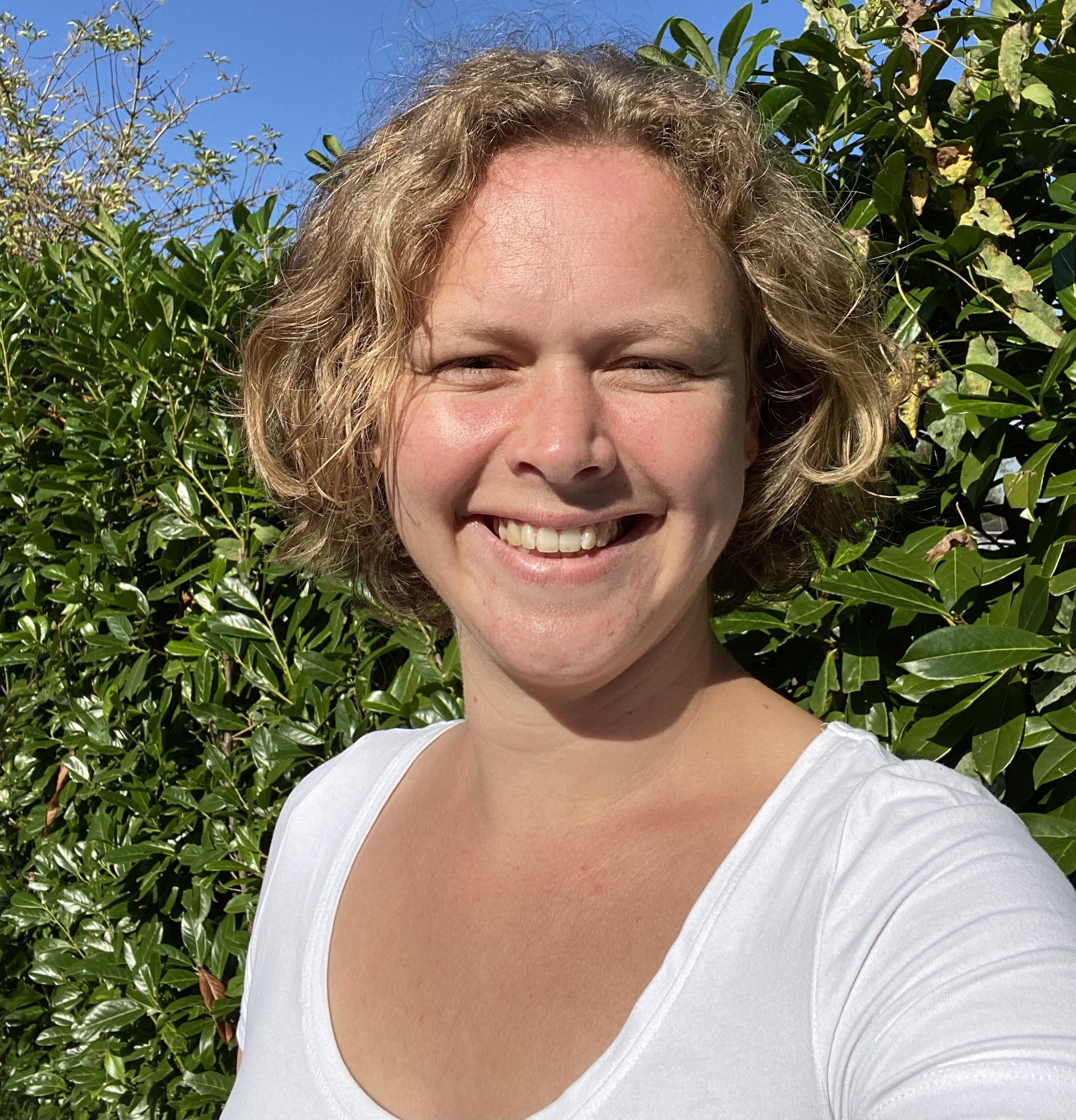Sanne van Draad, Hamer en Papier